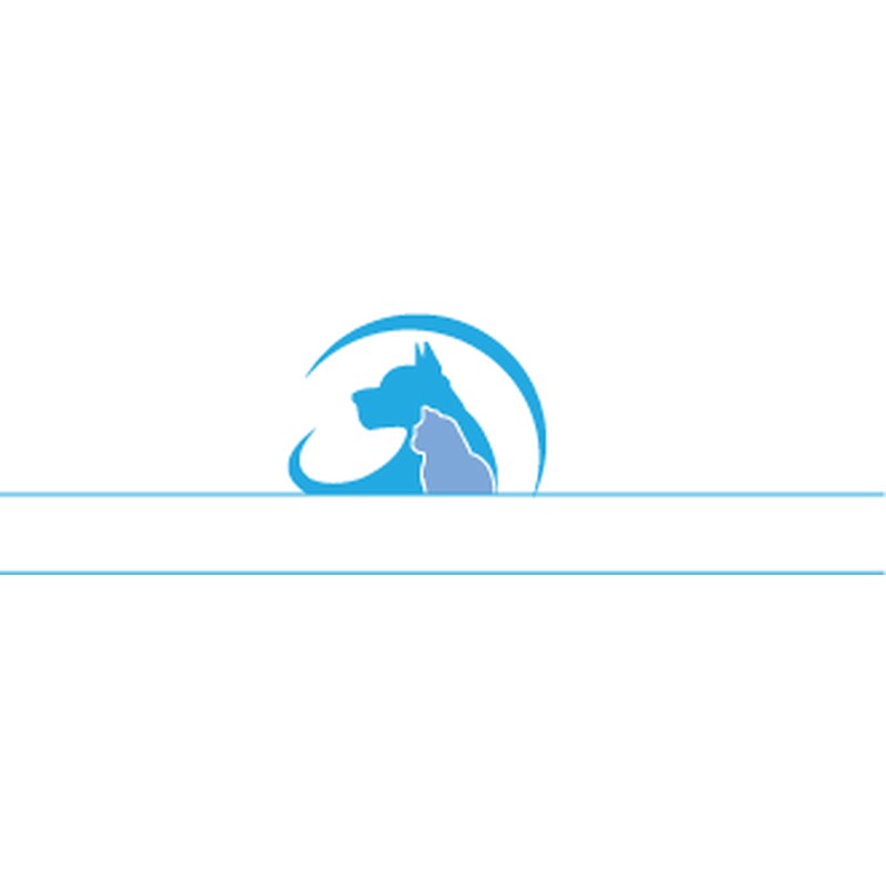 Belgrave House Veterinary Surgery